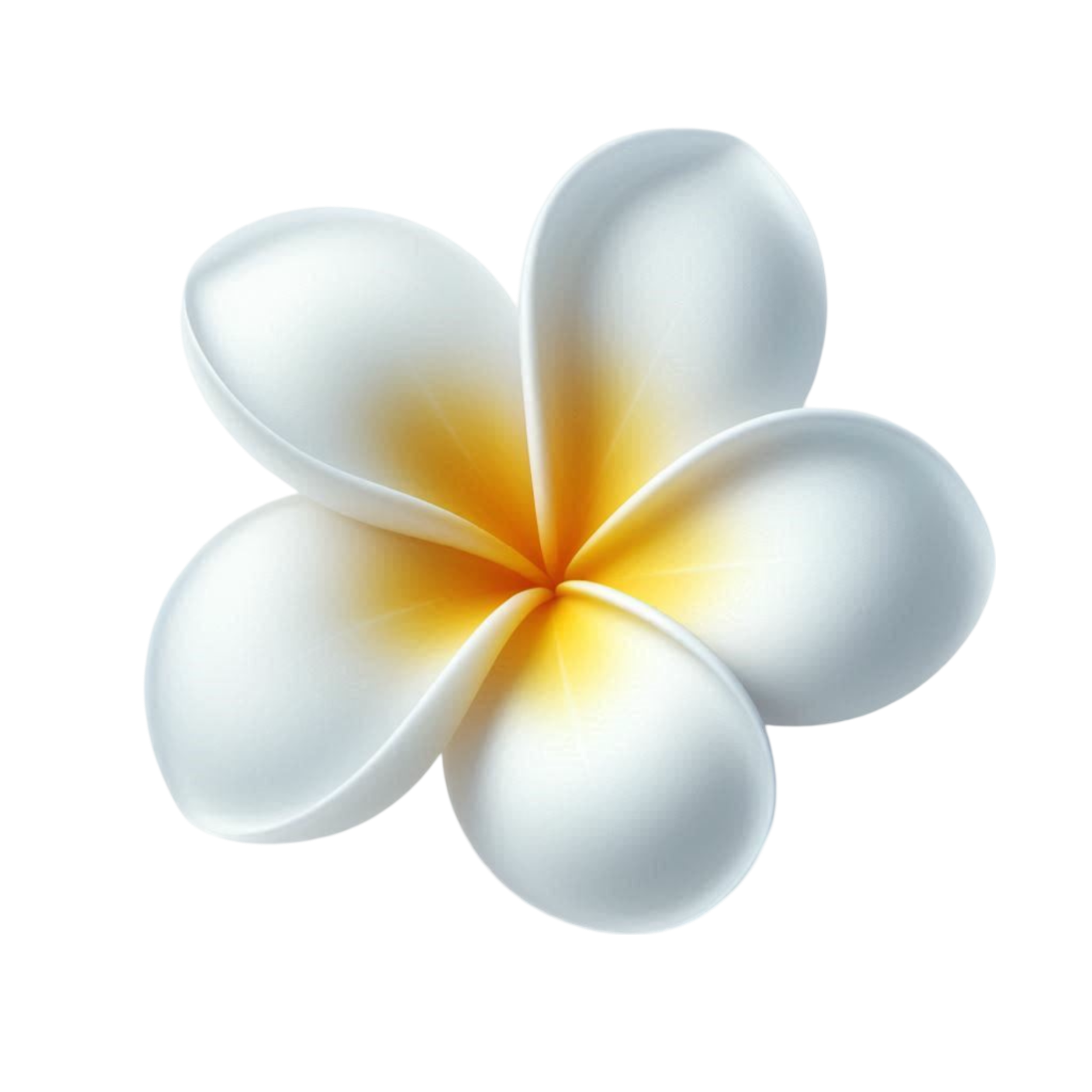 3D frangipani flower PNG Image